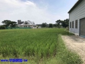 桃園市新屋區♨資材室♨新屋石磊資材室農舍 桃園市新屋區♨資材室♨新屋石磊資材室農舍